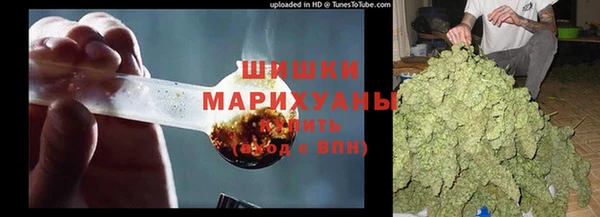 прущая мука Горняк