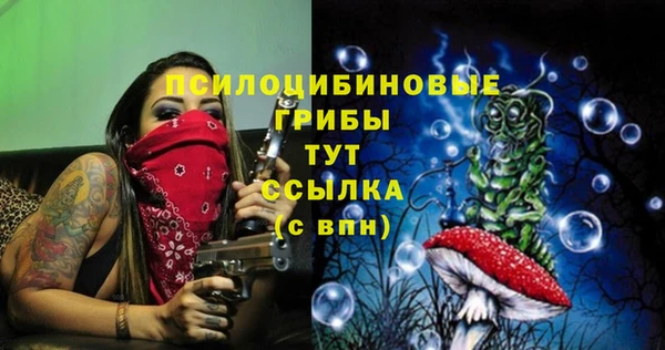 тгк Горнозаводск