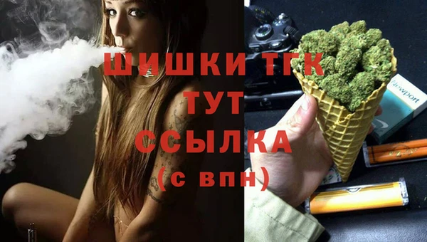 тгк Горнозаводск