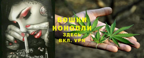 прущая мука Горняк
