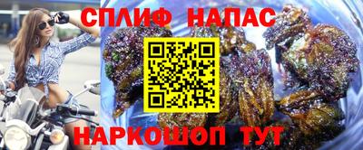 PSILOCYBIN Донской