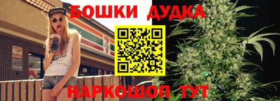 PSILOCYBIN Донской
