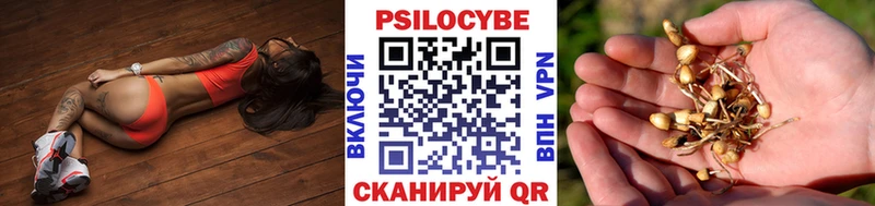 Псилоцибиновые грибы мицелий blacksprut маркетплейс Осинники
