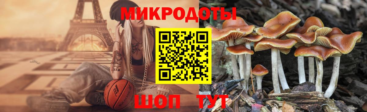 Галлюциногенные грибы MAGIC MUSHROOMS Осинники